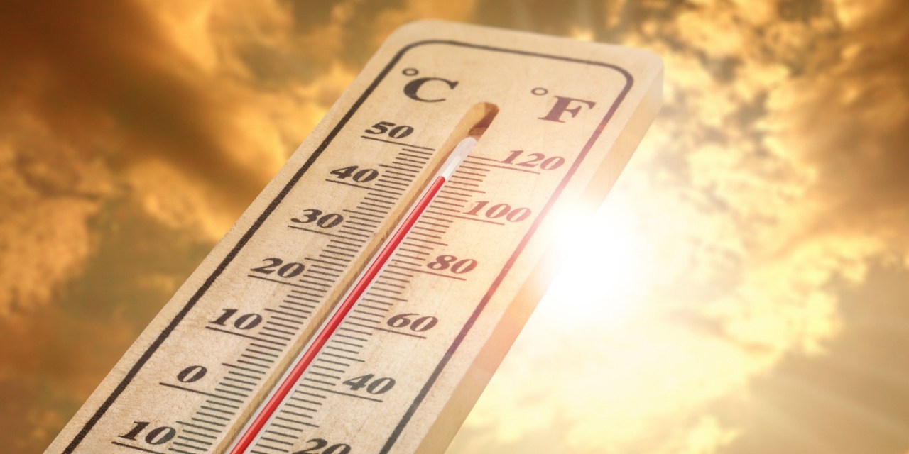 Phoenix orders refrigerated containers to store bodies following weeks of 110+ degree highs