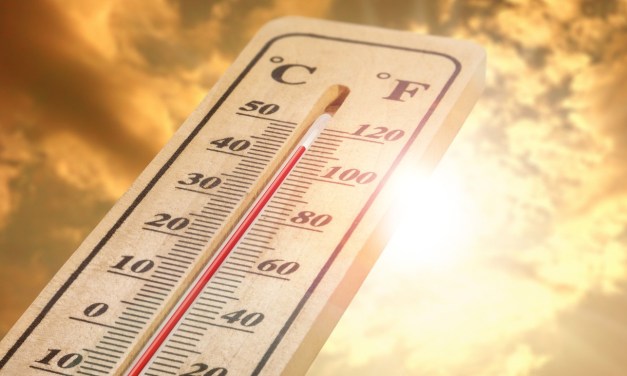 Phoenix orders refrigerated containers to store bodies following weeks of 110+ degree highs