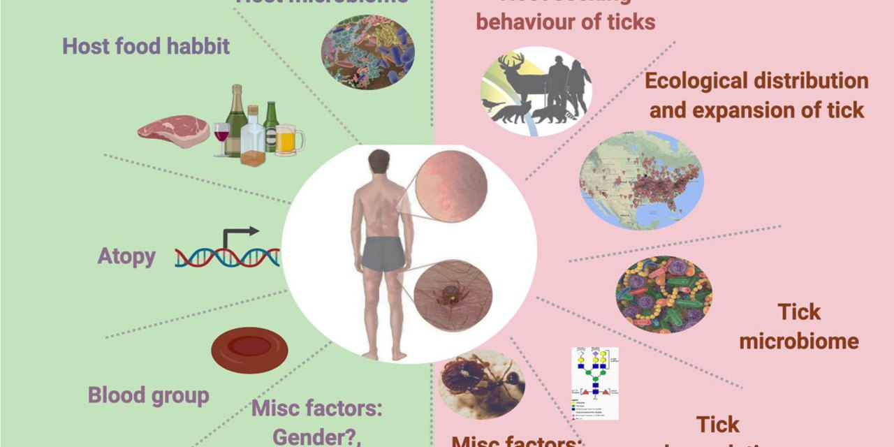 Breaking news! CDC issues a “have you heard” , claiming half a million are now allergic to meat because of tick bites
