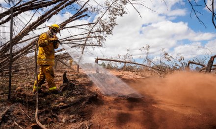 First Responder in Maui Calls-in to LIVE Show to Discuss the Grim Situation for Lahaina Residents