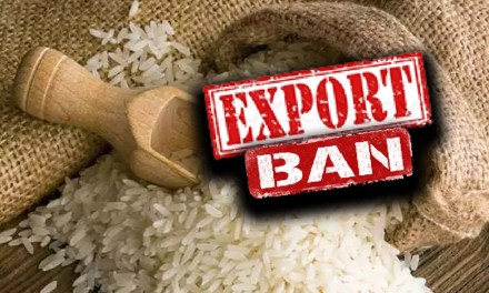 Global Rice Crisis Worsens As India Mulls Over New Export Restrictions
