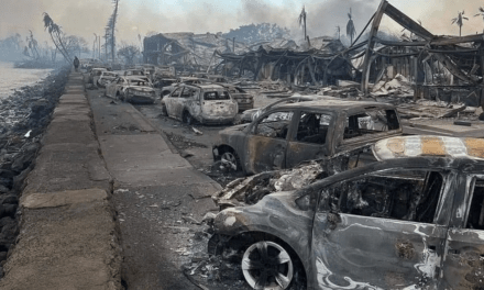 CHILLING FOOTAGE: Maui Fires Kill 53, Destroy Hundreds of Buildings