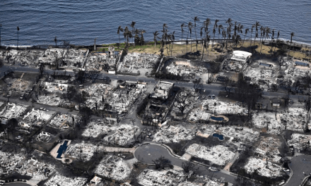 Hawaiian Electric Denies Responsibility for Maui Fires, Claims Power Lines Were Shut Off Hours Before the Wildfire Started