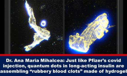REPORT: Quantum Dots Seen in Long-Acting Insulin are Self-Assembling “Rubbery Blood Clots”