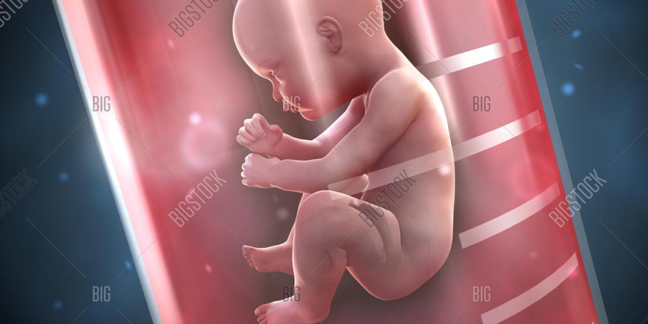 “Scientists have grown an entity”