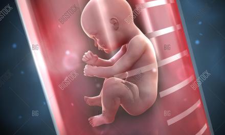 “Scientists have grown an entity”