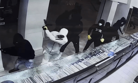 California is passing Bill 553, which makes it illegal to confront or fight back against looters, burglars and shoplifters. You’ll be fined $18,000 if you intervene. It puts every employee at the mercy of criminals.