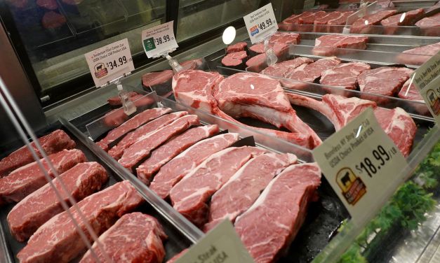 SKYROCKETING PRICES: US CATTLE HERD AT 73-YEAR LOWS AS RETAIL BEEF PRICES AT RECORD HIGHS