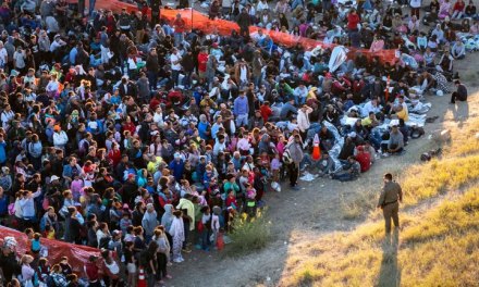 Elon Musk warns that illegal migration is CRUSHING the country! Warns collapse of essential services!!