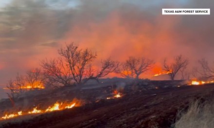 Texas Wild Fires UPDATE – No feed for cattle and livestock, LARGEST fires in U.S. history, Critical Infrastructure down!