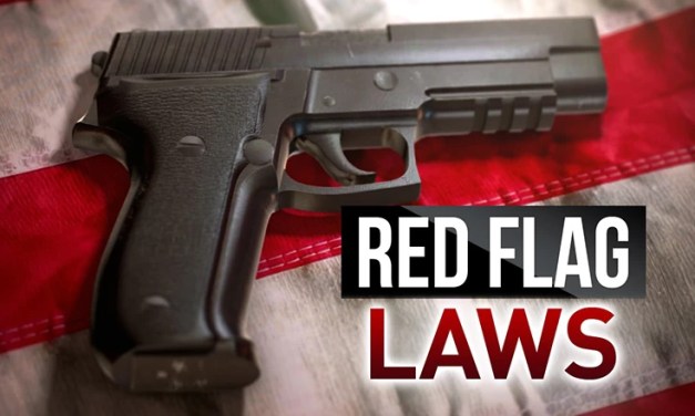 BREAKING! Kamala Harris Announces DOJ-Funded Office To Push ‘Red Flag’ Gun Laws
