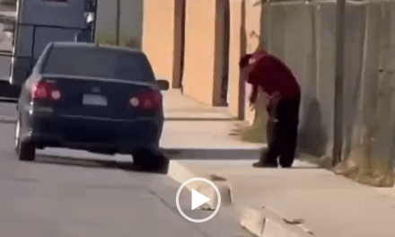 ‘Horrifying’ – Cannibalism On The Streets In California – BBQ and friends now living in Kern County, Central Cali