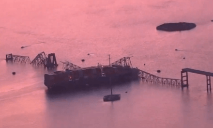 Gen. Flynn: Baltimore Bridge Collapse ‘A Black Swan Event’