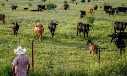 Experts Warn Mass Migration Threatens US Food Security