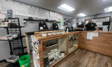 Californians Are Buying Up Guns After Border Patrol Starts Dumping Thousands of Migrants on Streets