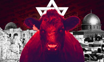 BREAKING: Red Heifer sacrifice date confirmed! Documents submitted officially for 22nd of April!