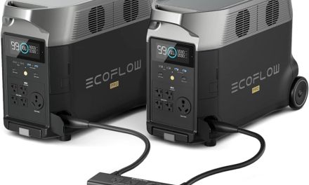 What You Need to Know About EcoFlow Delta Pro Batteries