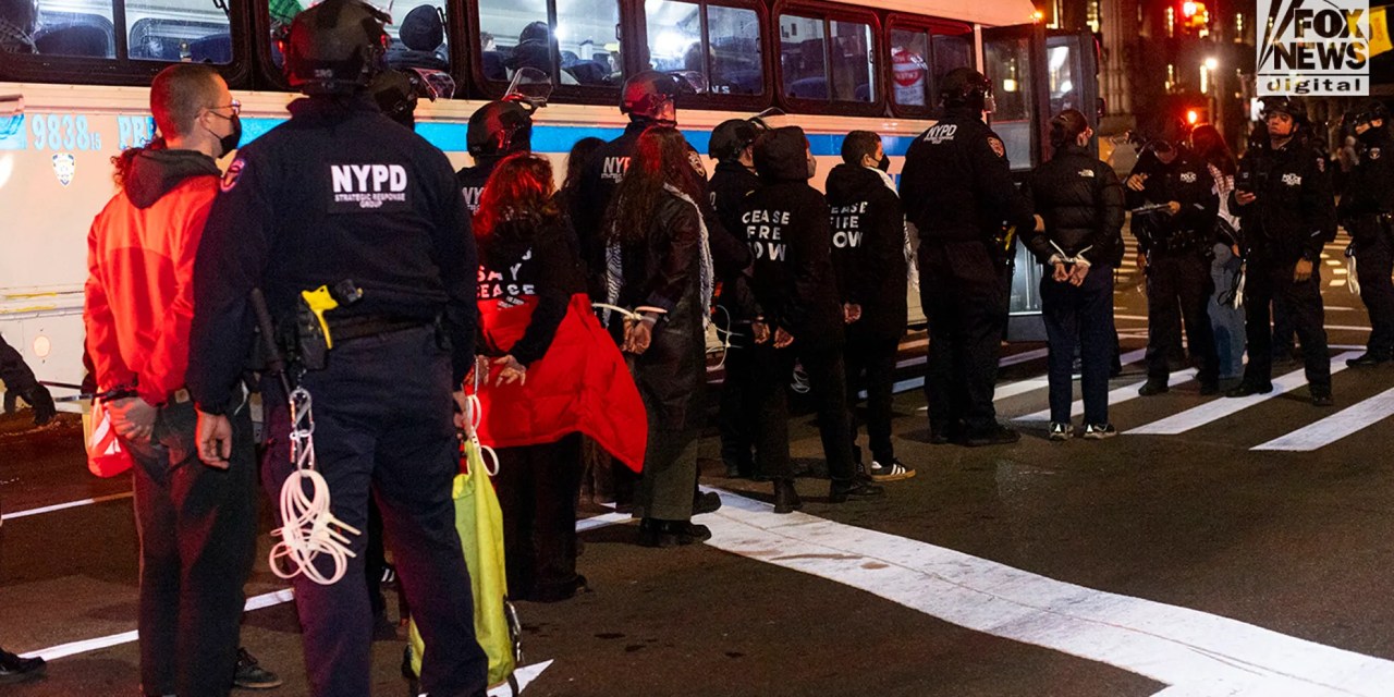 (FOX NEWS) College anti-Israel agitators could be sent to Gaza under new House GOP bill