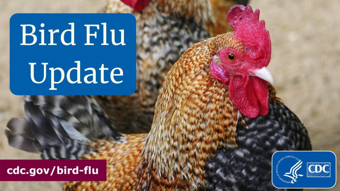 CDC Launches National Dashboard To Track Bird Flu In Your Area