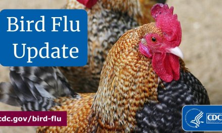 CDC Launches National Dashboard To Track Bird Flu In Your Area