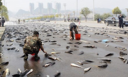 There is something VERY FISHY going on In IRAN!!!