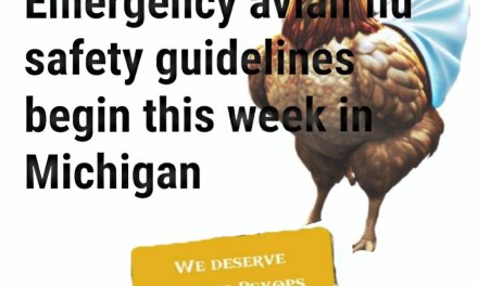Emergency avian flu safety guidelines begin this week in Michigan – Egg and Chicken prices going to skyrocket!