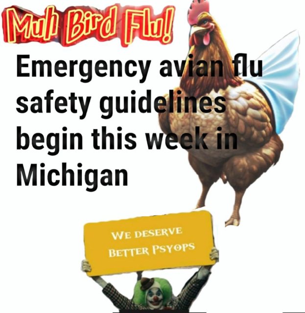 Emergency avian flu safety guidelines begin this week in Michigan – Egg and Chicken prices going to skyrocket!