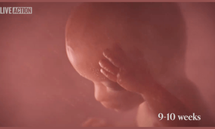 Tennessee Governor Signs ‘Baby Olivia Act’ Requiring Public Schools to Show Students Video of Unborn Babies Developing in the Womb (VIDEO)