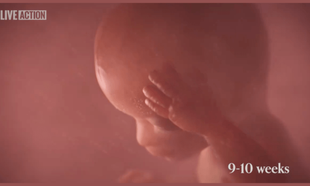 Tennessee Governor Signs ‘Baby Olivia Act’ Requiring Public Schools to Show Students Video of Unborn Babies Developing in the Womb (VIDEO)