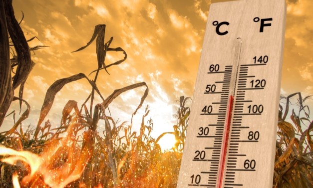 🚨 This week, more than 1,000 temperature records broke around the world, many of them shattered by extreme heat.