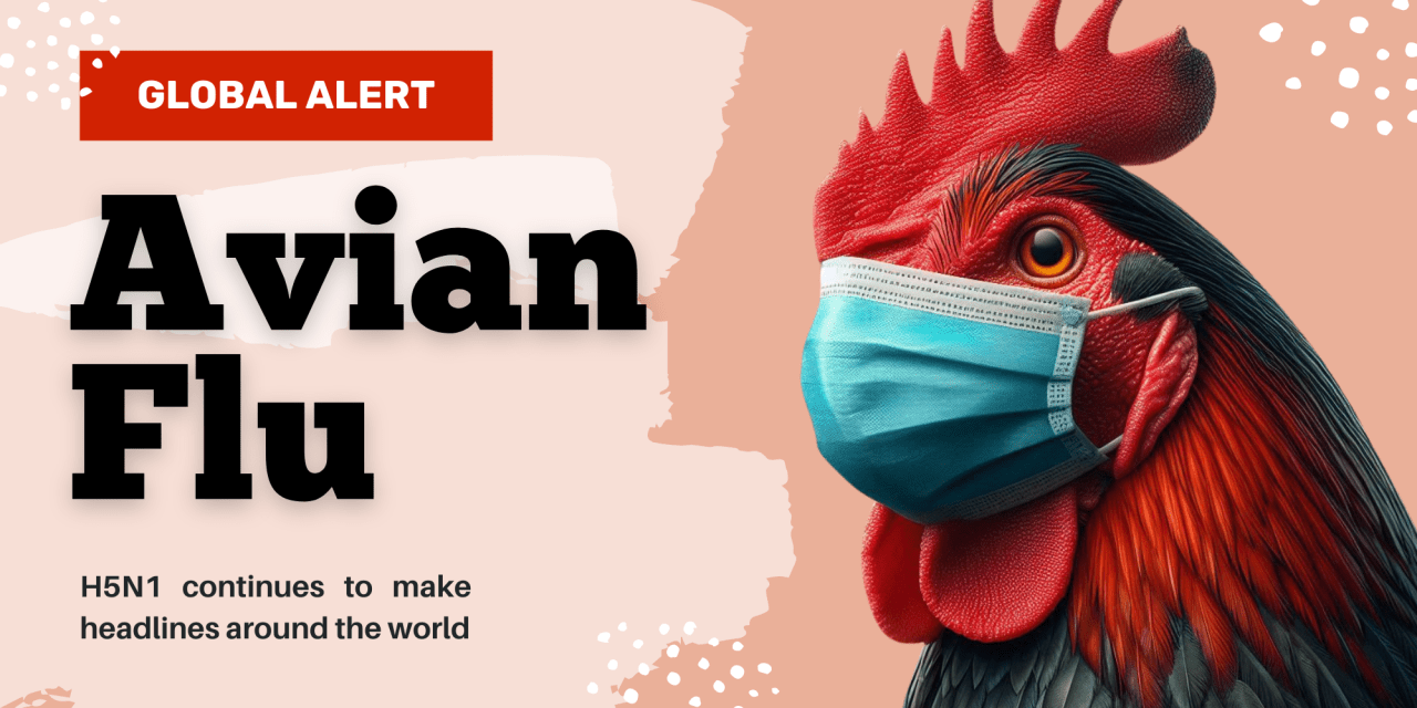 Residents Register Their Poultry Flocks To Prevent Bird Flu, And Report Nitrogen And Phosphorus Excretion Levels