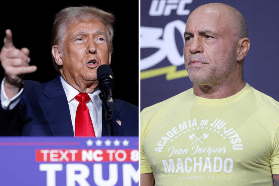 Joe Rogan interview with Donald Trump